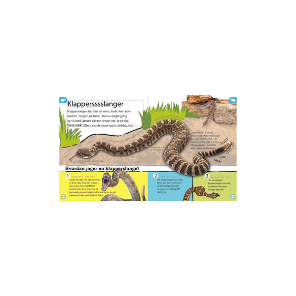 Dyreleksikon for de yngste, Forlaget Globe