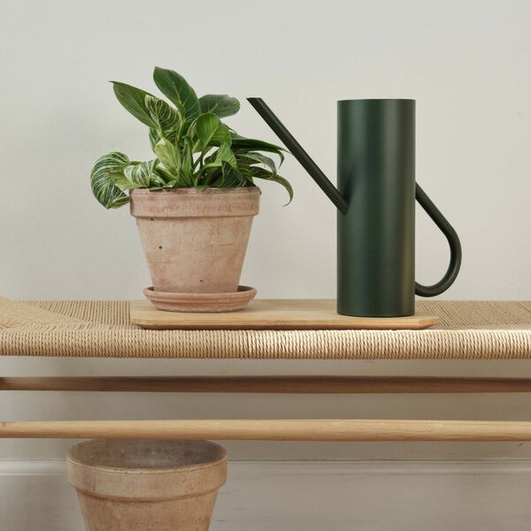 Bloom blomstervandkande, pine, Stelton