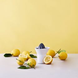 Citruspresser, white/grey, RIG-TIG