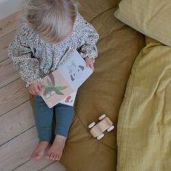 T&aelig;llebog, multi colour, Franck & Fischer