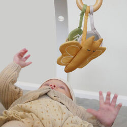 Birk sommerfugl aktivitetsleget&oslash;j, Franck & Fischer