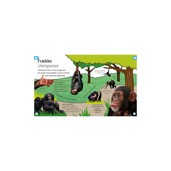 Dyreleksikon for de yngste, Forlaget Globe